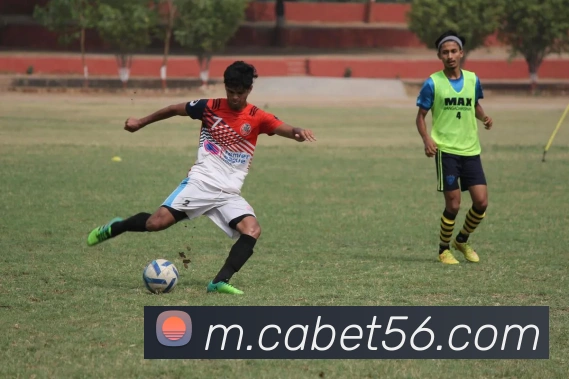 App Interface Preview